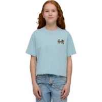 Детская футболка Puma Mid90S Relaxed Graph Seafoam, s.128 фото №3 — интернет-магазин Desire.md