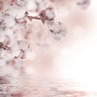 Fototapete Decocode 22-0003-FE