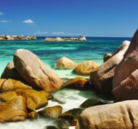 Фотообои Decocode 31-0023-ML