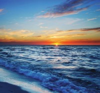 Фотообои Decocode 31-0049-ML