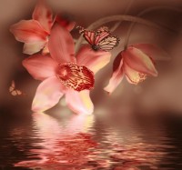 Fototapete Decocode 31-0068-FR