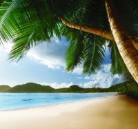 Fototapete Decocode 31-0115-PG