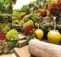 Фотообои Decocode 31-0269-PG