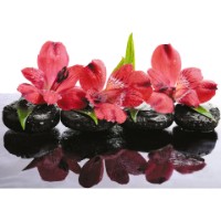 Фотообои Decocode 31-0270-FR