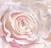 Fototapete Decocode 015-26-DE