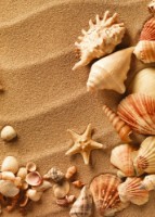 Fototapete Decocode 21-0020-ME