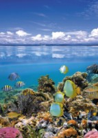 Fototapete Decocode 21-0217-ML