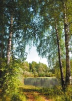 Fototapete Decocode 21-0260-PG