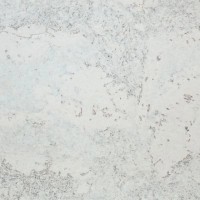 Tapete din plută Cork House RY07001