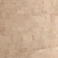 Tapete din plută Cork House RY1M001