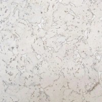 Tapete din plută Cork House RY77001