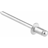 Заклепки Topex 43E502