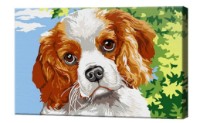 Картина по номерам Art Gallery Premium Spaniel Puppy (CX3737)