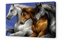 Картина по номерам Art Gallery Premium Three Horses (CX3618)