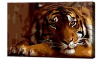 Tablou pe numere Art Gallery Premium Tiger (CX4462)