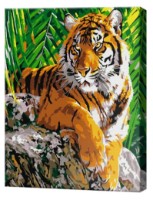 Tablou pe numere Art Gallery Premium Tiger In The Jungle (CX4267)