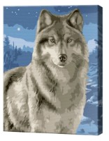 Картина по номерам Art Gallery Premium Wolf (CX4265)