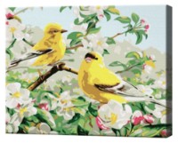 Tablou pe numere Art Gallery Premium Yellow Birds (CX4218)