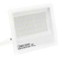 Proiector Horoz Aslan-50 (068-010-0050) White