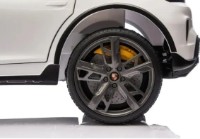 Mașinuța electrica Golden Baby Porsche Taycan Turbo S (BDM0988) imaginea #7 — magazin online Desire.md