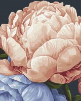 Tablou pe numere Brushme Calm In Flowers Anastasia Alyokhina (BS54473)