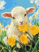 Tablou pe numere Brushme Sheep (RBS54317)