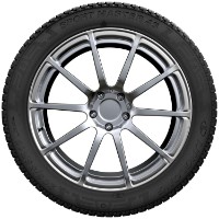 Шина Linglong Sport Master 4S 205/55 R17 95W XL фото №3 — интернет-магазин Desire.md