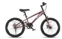 Bicicletă copii New World Qitong Kids 18 Purple (TN24Q22) imaginea #1 — magazin online Desire.md