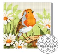 Алмазная мозаика Art Gallery Premium Bird And Daisies (BJ660)