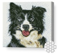 Mozaic cu diamante Art Gallery Premium Black And White Dog (BJ1156)