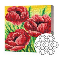Алмазная мозаика Art Gallery Premium Bright Poppies (BJ844)