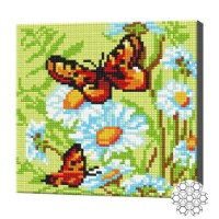 Алмазная мозаика Art Gallery Premium Butterflies On Daisies (BJ1029)
