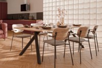 Каркас для стола Alianstek ASTER  1000 mm фото №3 — интернет-магазин Desire.md