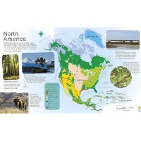 Cartea Childrens Illustrated Animal Atlas (9780241283851) imaginea #2 — magazin online Desire.md