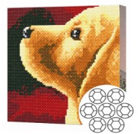 Алмазная мозаика Art Gallery Premium Devoted Look (BJ863)