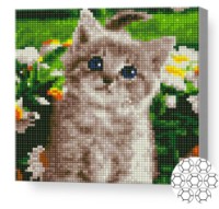 Алмазная мозаика Art Gallery Premium Gray Kitten (BJ1190)