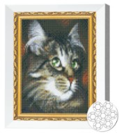 Алмазная мозаика Art Gallery Premium Green-eyed Cat (JS27625)