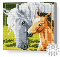 Алмазная мозаика Art Gallery Premium Horse And Foal (BJ567)