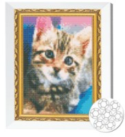Алмазная мозаика Art Gallery Premium Kitten (JS21342)