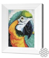 Алмазная мозаика Art Gallery Premium Macaw Parrot (JS25438)