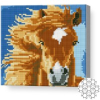 Mozaic cu diamante Art Gallery Premium Horse (BJ638)