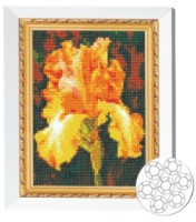 Mozaic cu diamante Art Gallery Premium Orange Iris (JS21387)