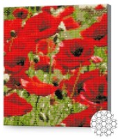 Алмазная мозаика Art Gallery Premium Red Poppies (GB86100)