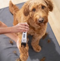 Aparat de tuns pentru animale Beurer PP110 imaginea #2 — magazin online Desire.md