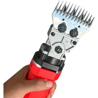 Mașină de tuns oi Des Champs 17ASSM imaginea #2 — magazin online Desire.md