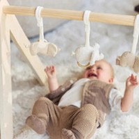 Jucărie pentru pătuturi si carucioare Jollein Babygym Elephant Tales (108-001-68110) imaginea #5 — magazin online Desire.md