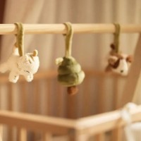Jucărie pentru pătuturi si carucioare Jollein Babygym Tiny Park 3pcs (108-001-68102) imaginea #2 — magazin online Desire.md