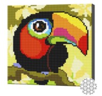 Алмазная мозаика Art Gallery Premium Toucan (BJ964)