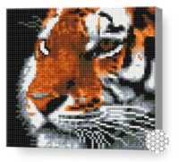 Алмазная мозаика Art Gallery Premium Tiger (BJ1195)