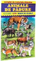 Раскраска для детей Biblion Animale de padure (9789975112956)